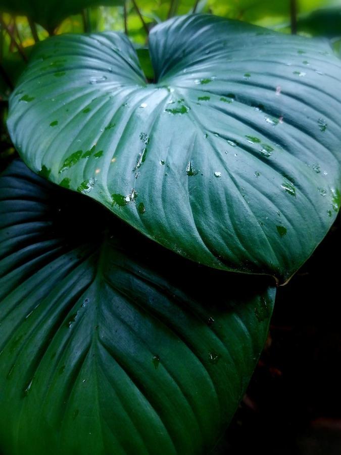 Finca Kobo Palo Seco Kültér fotó