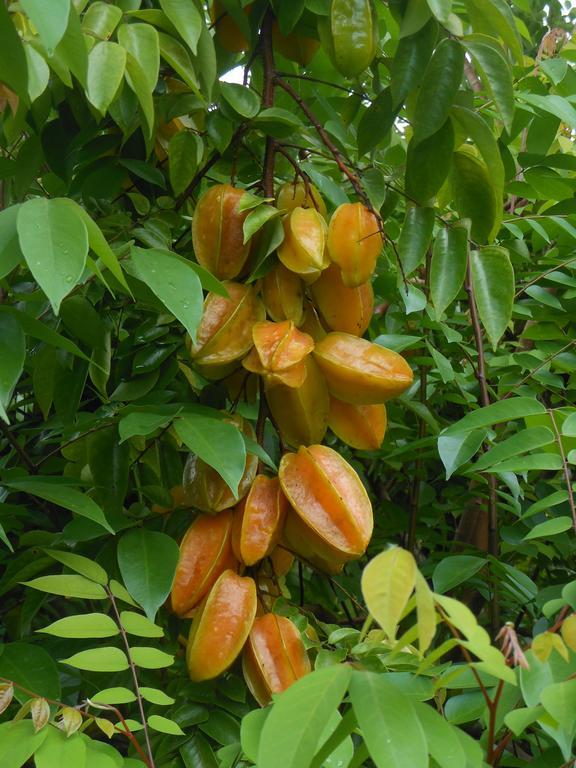Finca Kobo Palo Seco Kültér fotó